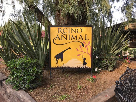 Senderismo en Teotihuacán